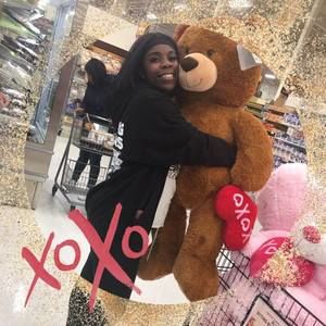 Meet your Posher, Sierra